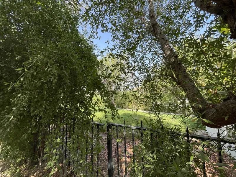 Off-market villa with extendable plot, photo 4